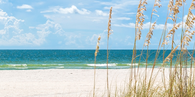 Selling tips, Mexico Beach, Florida Homes, Real Estate